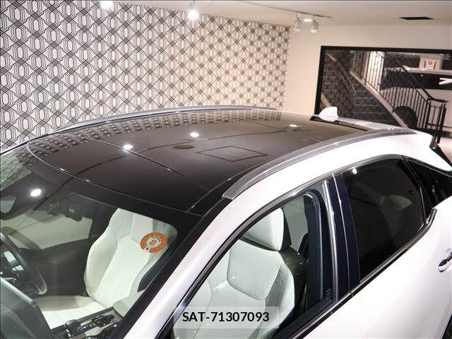 Lexus RX 2024-06 2248995-18