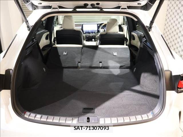 Lexus RX 2024-06 2248995-19
