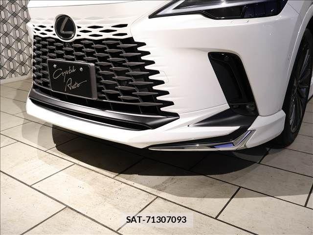 Lexus RX 2024-06 2248995-5