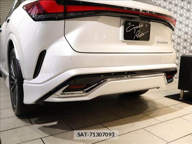 Lexus RX 2024-06 2248995-7