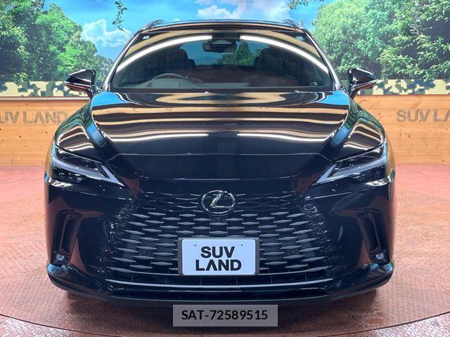 Lexus RX 2024-01 6305021-15
