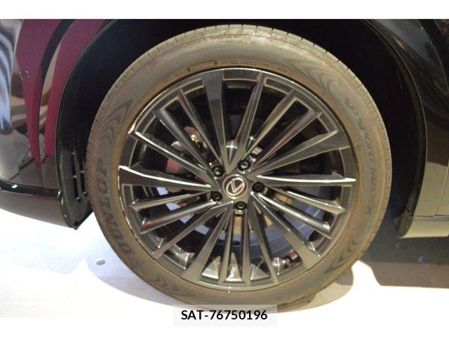 Lexus RX 2024-08 6612939-7