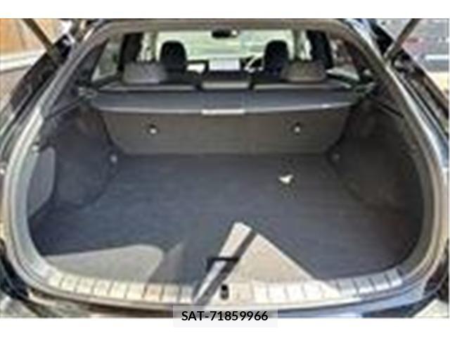 Lexus RX 2024-02 6752266-19