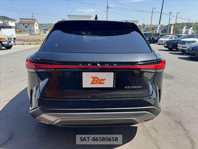 Lexus RX 2024-04 7221129-13