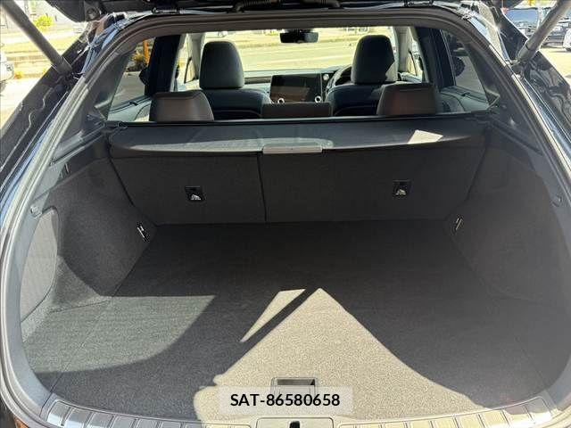 Lexus RX 2024-04 7221129-19