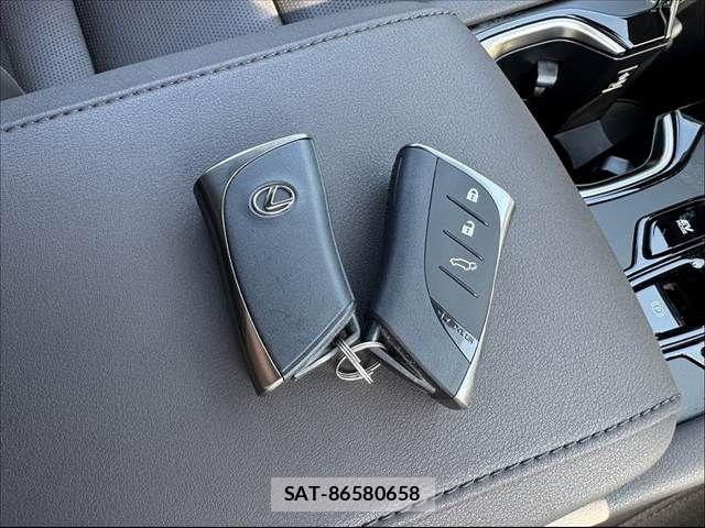 Lexus RX 2024-04 7221129-6