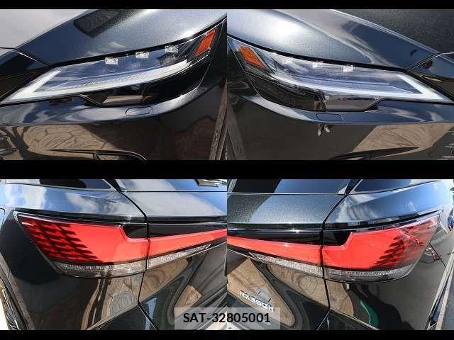 Lexus RX 2024-07 7221133-28