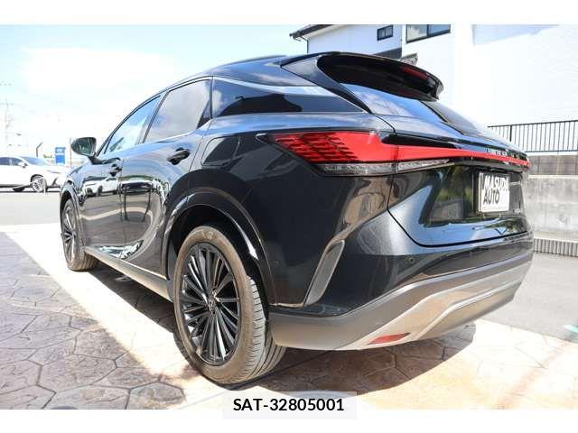 Lexus RX 2024-07 7221133-4