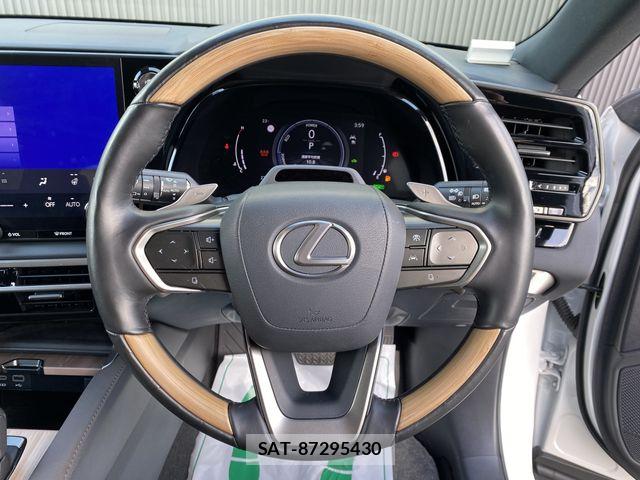 Lexus RX 2024-03 7221130-10