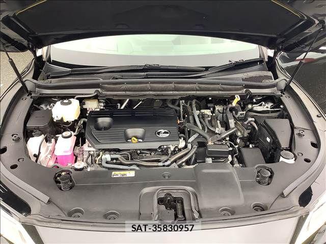 Lexus RX 2023-09 7249928-17