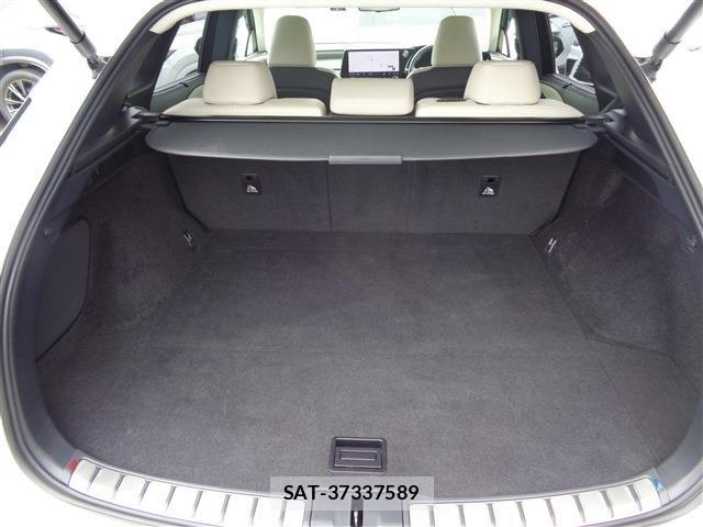 Lexus RX 2024-05 7251363-16