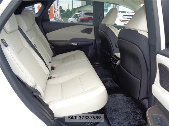 Lexus RX 2024-05 7251363-19