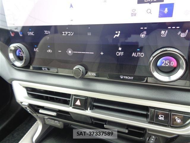 Lexus RX 2024-05 7251363-24