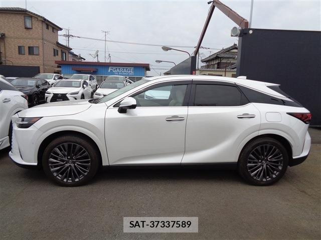 Lexus RX 2024-05 7251363-4