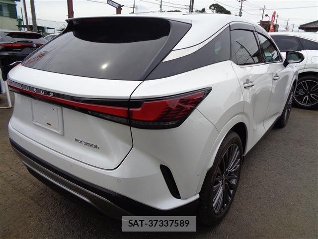Lexus RX 2024-05 7251363-7