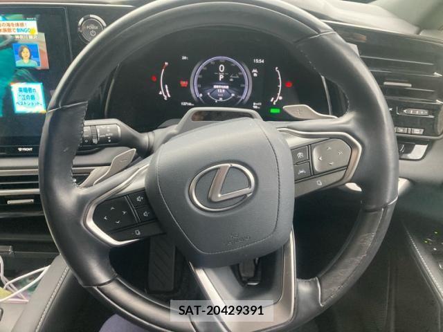 Lexus RX 2023-12 7272246-13