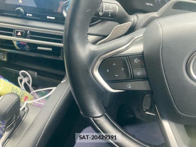 Lexus RX 2023-12 7272246-14