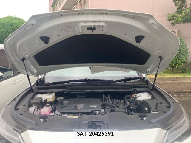 Lexus RX 2023-12 7272246-26