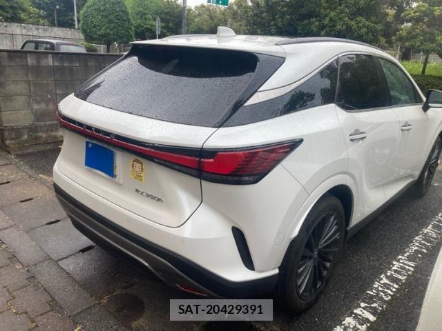 Lexus RX 2023-12 7272246-4