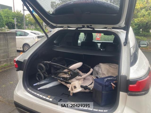 Lexus RX 2023-12 7272246-5