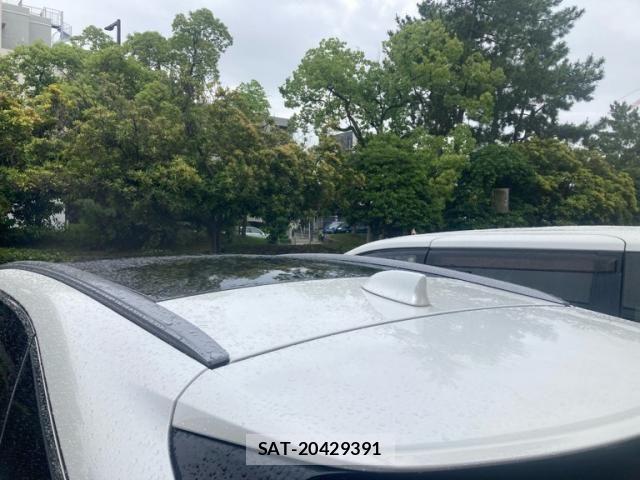 Lexus RX 2023-12 7272246-7