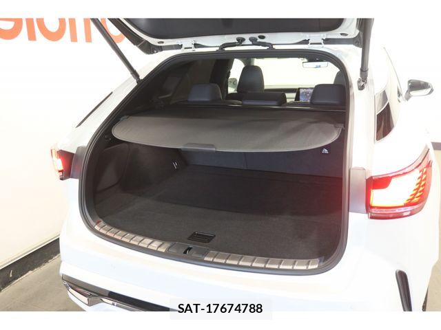 Lexus RX 2024-03 7328088-22