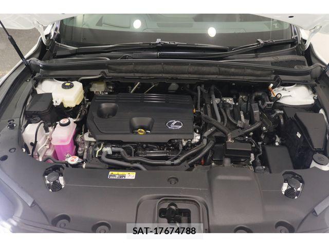 Lexus RX 2024-03 7328088-25