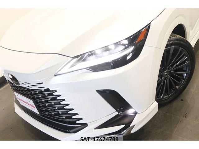 Lexus RX 2024-03 7328088-27
