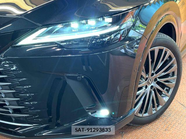 Lexus RX 2023-09 7328089-13