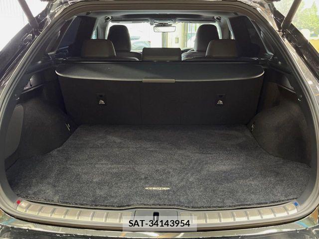 Lexus RX 2023-10 7617737-9