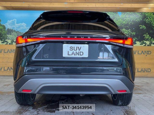 Lexus RX 2023-10 7617737-14
