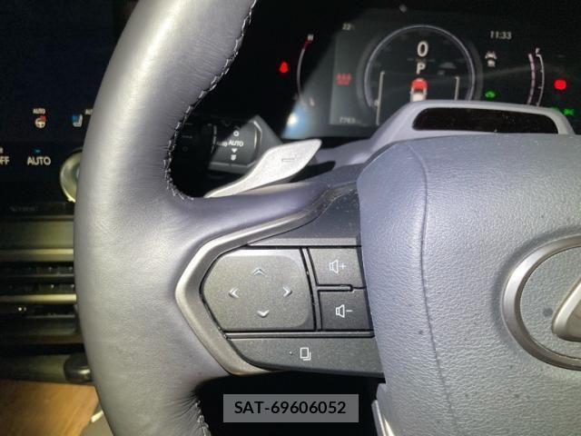 Lexus RX 2024-07 7725198-16
