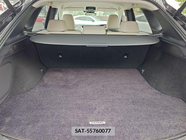 Lexus RX 2025-05 7725197-22