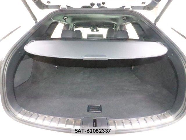 Lexus RX 2023-09 7877451-13