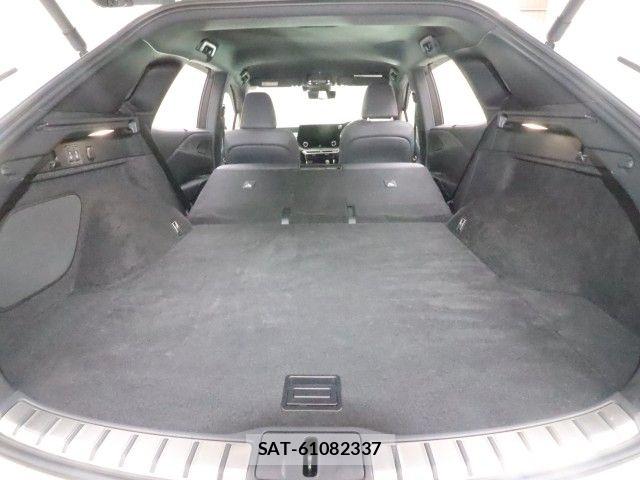 Lexus RX 2023-09 7877451-17