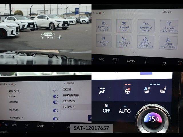 Lexus RX 2024-09 7902874-21