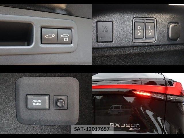 Lexus RX 2024-09 7902874-23