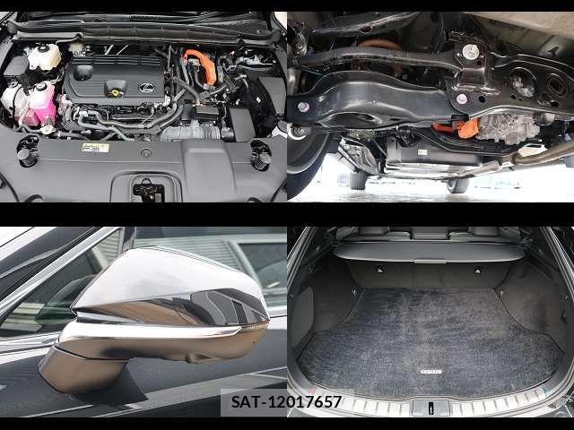Lexus RX 2024-09 7902874-26