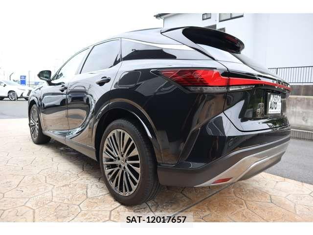 Lexus RX 2024-09 7902874-4