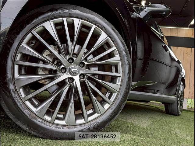 Lexus RX 2023-09 7962459-18