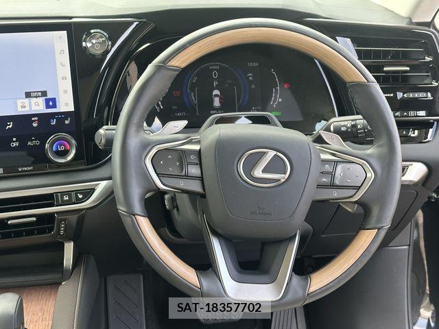 Lexus RX 2023-11 7979798-8