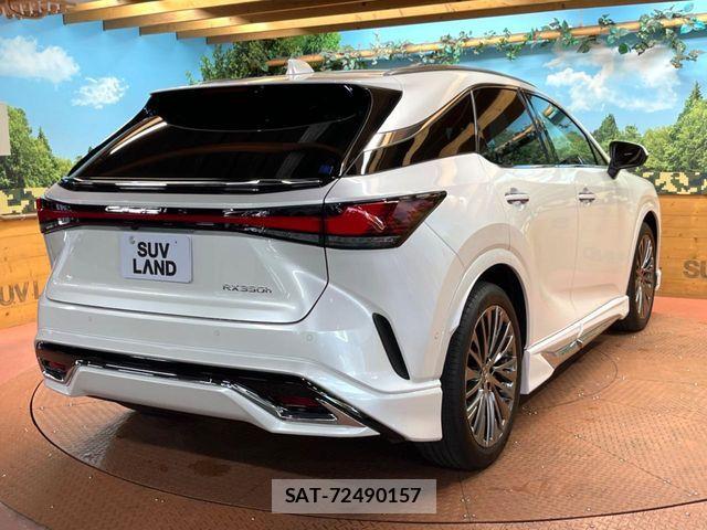 Lexus RX 2023-11 8074394-16