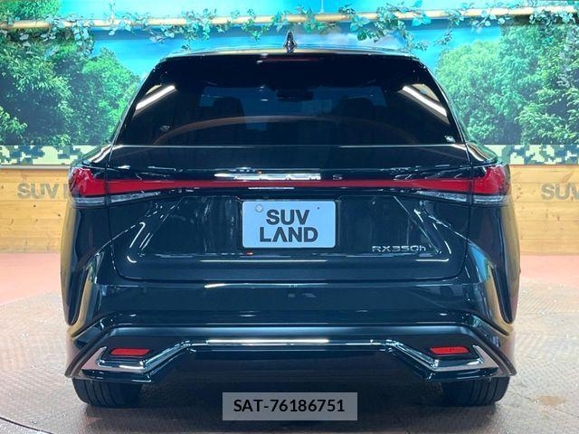 Lexus RX 2024-02 8100196-16