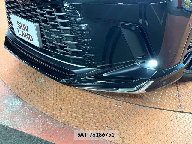 Lexus RX 2024-02 8100196-2