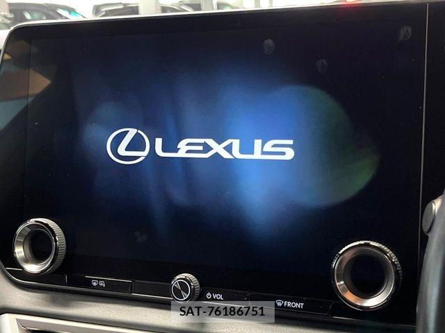 Lexus RX 2024-02 8100196-3