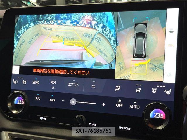 Lexus RX 2024-02 8100196-4