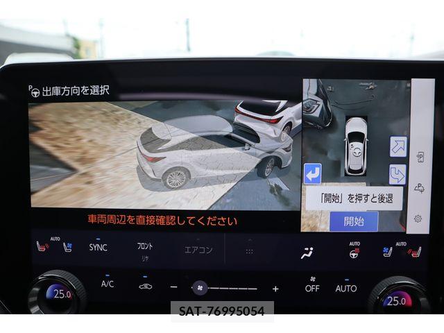 Lexus RX 2025-12 8131060-15