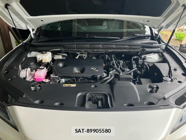Lexus RX 2023-09 8230639-22