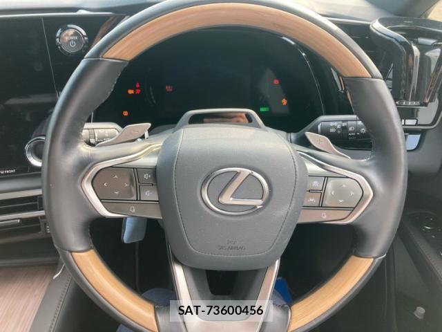 Lexus RX 2024-08 8230638-12