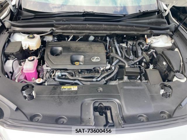 Lexus RX 2024-08 8230638-28
